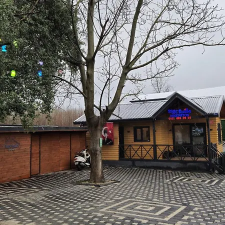 Msc דירה ספנג'ה