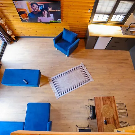 Msc דירה ספנג'ה