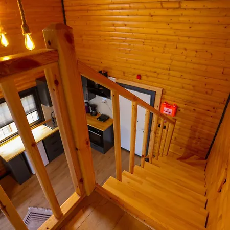 Msc דירה ספנג'ה