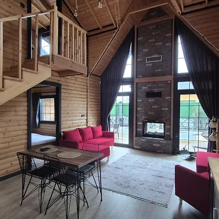 Msc דירה ספנג'ה