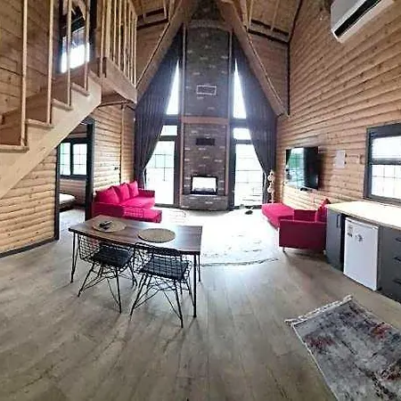 Apartmán Msc *